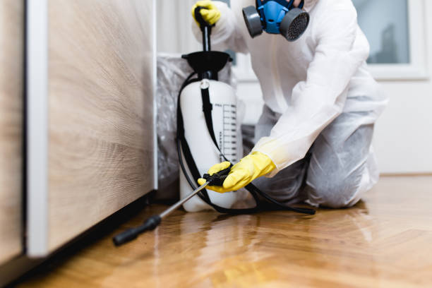 Best Emergency Pest Control  in Edneyville, NC
