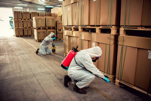 Professional Pest Control in Edneyville, NC