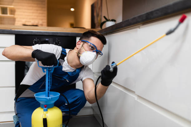 Best Emergency Pest Control  in Edneyville, NC