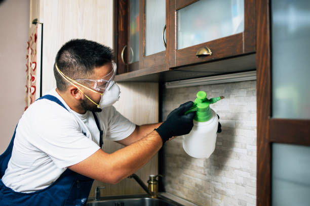 Best Insect Control  in Edneyville, NC