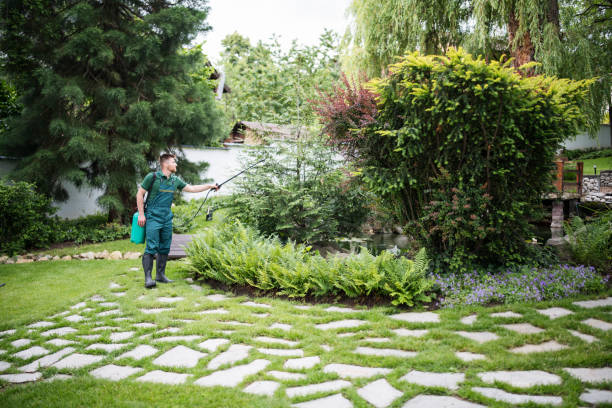 Best Best Pest Control Companies  in Edneyville, NC