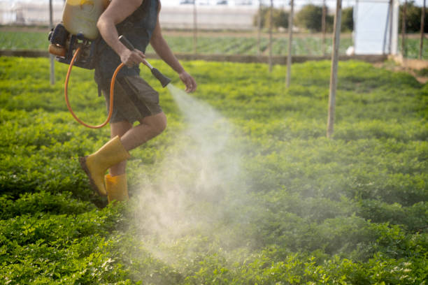 Best Affordable Pest Control Services  in Edneyville, NC