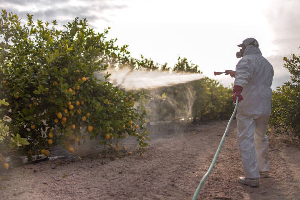 Best Residential Pest Control  in Edneyville, NC