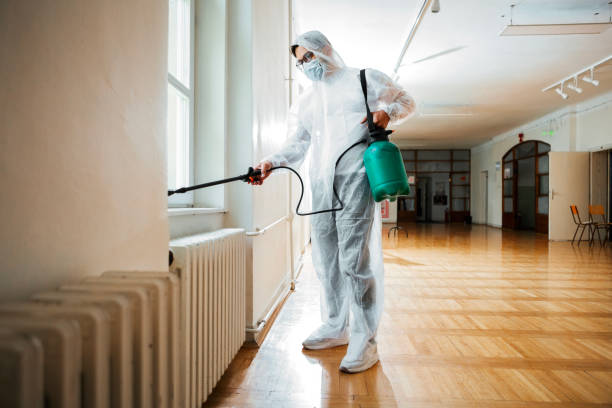 Best Pest Control Treatment  in Edneyville, NC