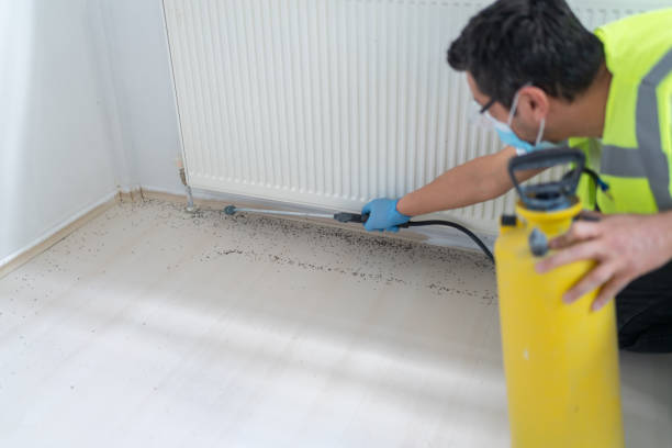 Best Pest Prevention Services  in Edneyville, NC