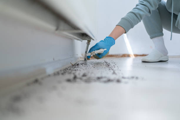 Best Cockroach Control Services  in Edneyville, NC